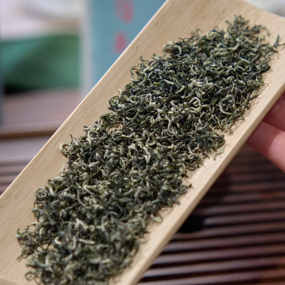 Fresh green tea leaves