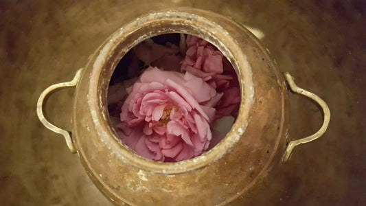Rose tea benefits for skin, digestion and overall wellness
