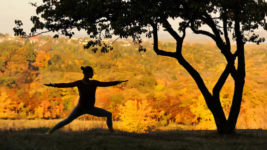 Autumn Equinox and Tea Finding Physical and Mental Harmony in Balance