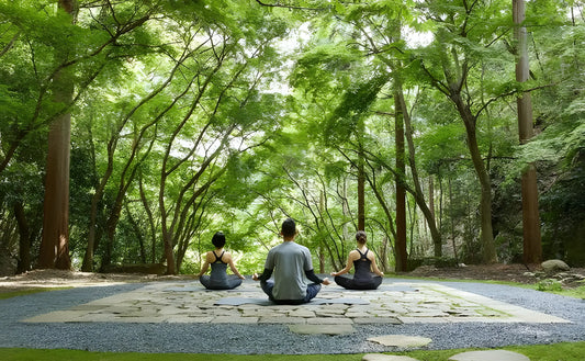 Three individuals meditating in a peaceful natural setting, surrounded by lush green trees. The scene evokes a sense of harmony with nature, symbolizing the inner calm and self-exploration brought by meditation and tea ceremonies.