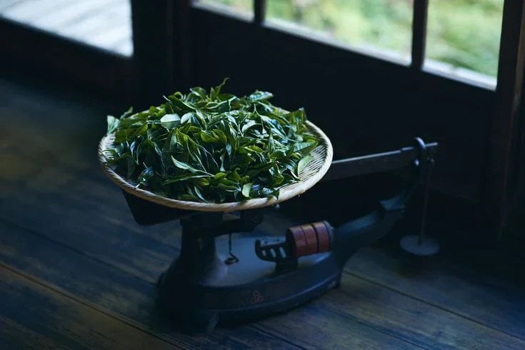 The Tea Pure presents freshly weighed green tea leaves, ready for the perfect brew.