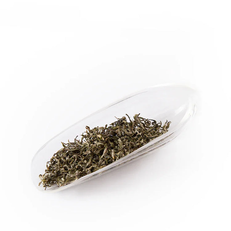 Green Tea – The Essence of Unoxidized Freshness