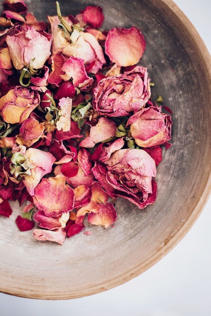 Autumn Equinox Teas