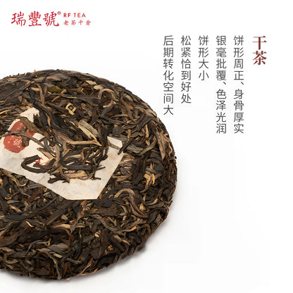 the display of dry compressed Banzhang Pu'er tea Pu-erh tea aids digestion and helps regulate the stomach and intestines