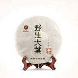 Yunnan Menghai Wild Large-Leaf Pu-erh Tea 2013 Pu-erh tea aids digestion and helps regulate the stomach and intestines